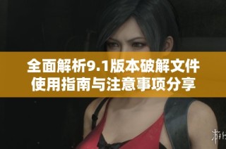 全面解析9.1版本破解文件使用指南与注意事项分享