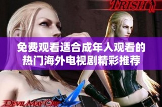 免费观看适合成年人观看的热门海外电视剧精彩推荐