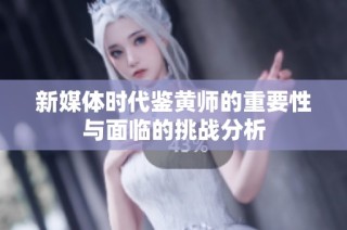 新媒体时代鉴黄师的重要性与面临的挑战分析