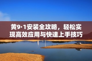 黄9·1安装全攻略，轻松实现高效应用与快速上手技巧