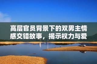 高层官员背景下的双男主情感交错故事，揭示权力与爱情的复杂关系