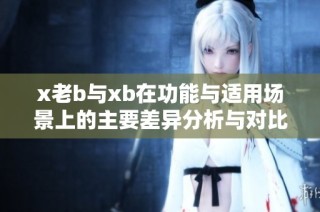 x老b与xb在功能与适用场景上的主要差异分析与对比