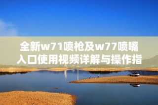 全新w71喷枪及w77喷嘴入口使用视频详解与操作指南