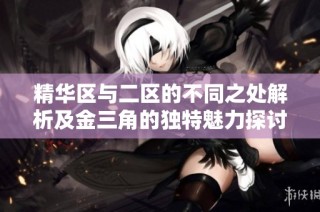 精华区与二区的不同之处解析及金三角的独特魅力探讨
