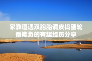 家教遭遇双胞胎调皮捣蛋轮番欺负的有趣经历分享