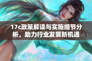 17c政策解读与实施细节分析，助力行业发展新机遇