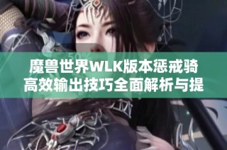 魔兽世界WLK版本惩戒骑高效输出技巧全面解析与提升建议