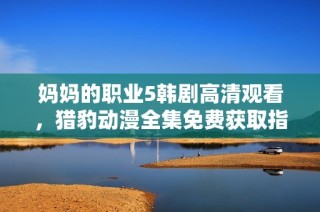 妈妈的职业5韩剧高清观看，猎豹动漫全集免费获取指南分享