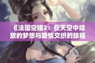 《法国空姐2：在天空中绽放的梦想与爱情交织的旅程》
