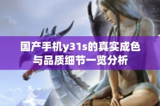 国产手机y31s的真实成色与品质细节一览分析