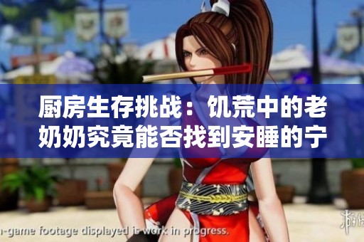 厨房生存挑战：饥荒中的老奶奶究竟能否找到安睡的宁静时光