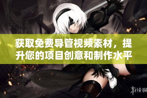 获取免费导管视频素材，提升您的项目创意和制作水平