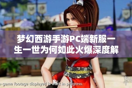 梦幻西游手游PC端新服一生一世为何如此火爆深度解析
