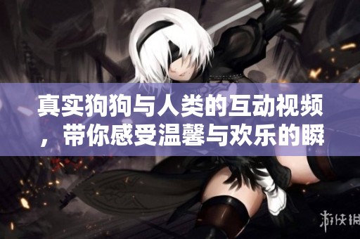 真实狗狗与人类的互动视频，带你感受温馨与欢乐的瞬间