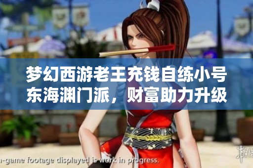 梦幻西游老王充钱自练小号东海渊门派，财富助力升级之路