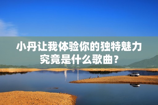 小丹让我体验你的独特魅力究竟是什么歌曲？