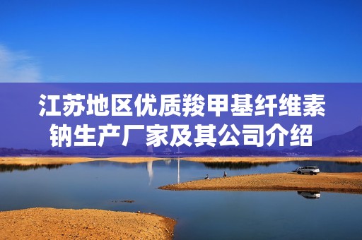 江苏地区优质羧甲基纤维素钠生产厂家及其公司介绍