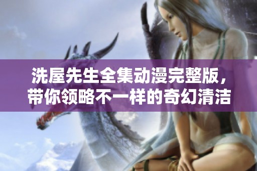 洗屋先生全集动漫完整版，带你领略不一样的奇幻清洁之旅