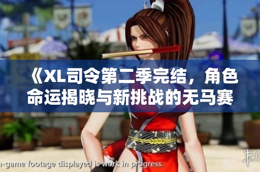 《XL司令第二季完结，角色命运揭晓与新挑战的无马赛对决》