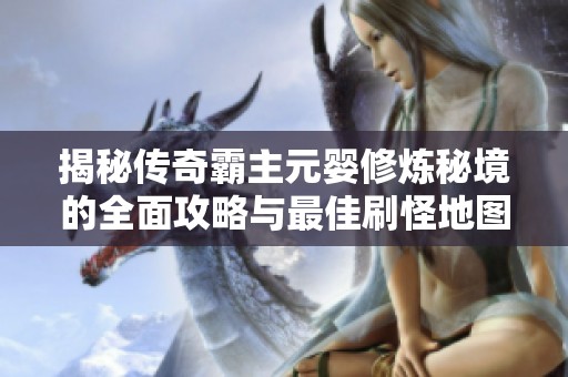 揭秘传奇霸主元婴修炼秘境的全面攻略与最佳刷怪地图解析