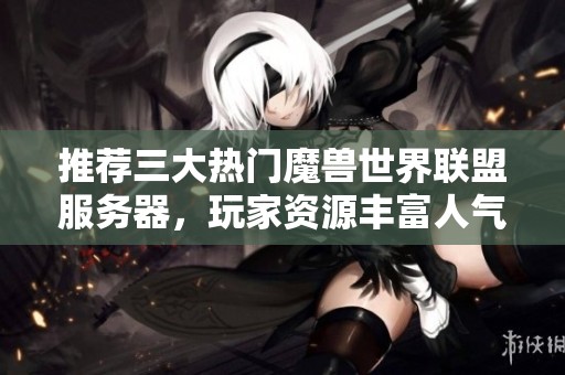 推荐三大热门魔兽世界联盟服务器，玩家资源丰富人气高
