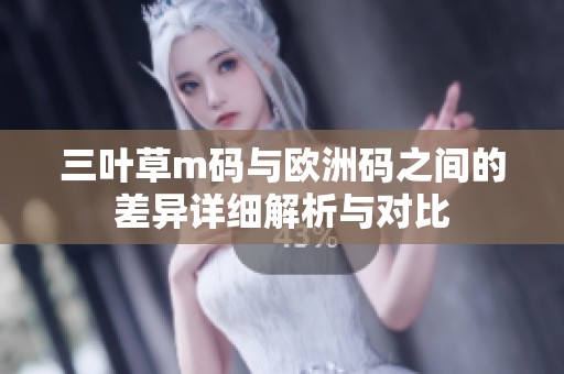 三叶草m码与欧洲码之间的差异详细解析与对比