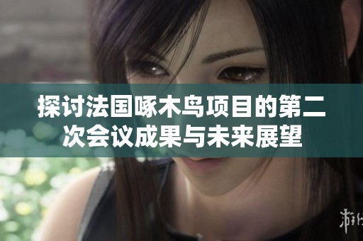 探讨法国啄木鸟项目的第二次会议成果与未来展望