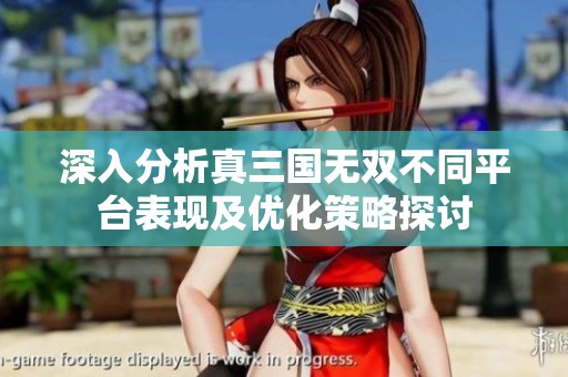 深入分析真三国无双不同平台表现及优化策略探讨