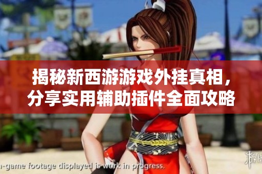 揭秘新西游游戏外挂真相，分享实用辅助插件全面攻略