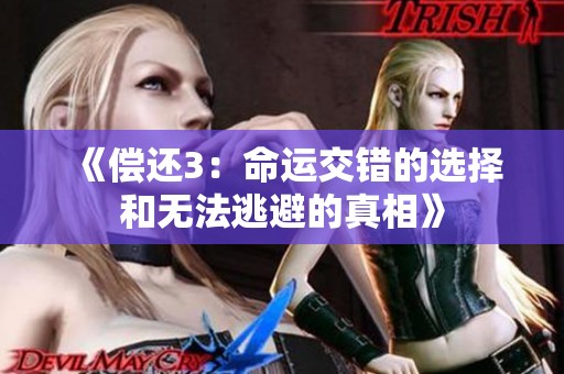 《偿还3：命运交错的选择和无法逃避的真相》