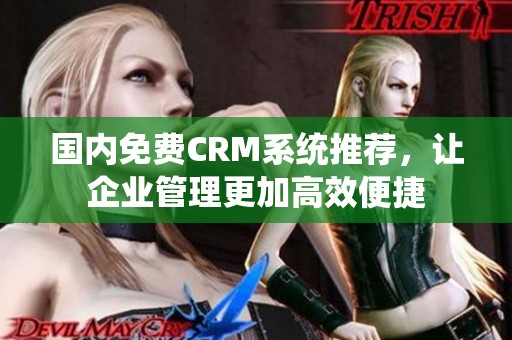 国内免费CRM系统推荐，让企业管理更加高效便捷