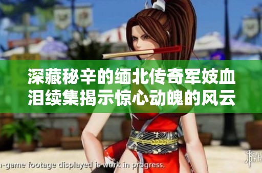 深藏秘辛的缅北传奇军妓血泪续集揭示惊心动魄的风云变幻