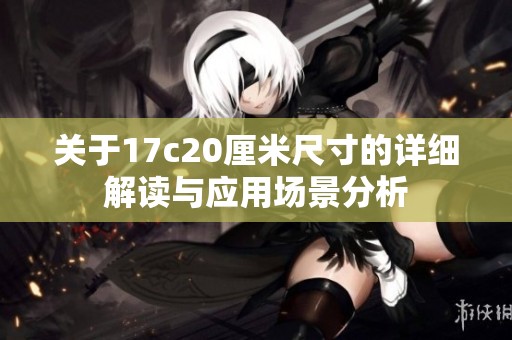 关于17c20厘米尺寸的详细解读与应用场景分析