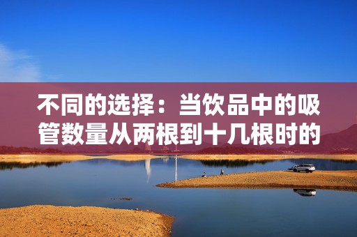 不同的选择：当饮品中的吸管数量从两根到十几根时的体验分析