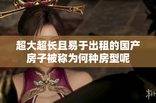 超大超长且易于出租的国产房子被称为何种房型呢