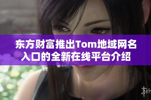 东方财富推出Tom地域网名入口的全新在线平台介绍
