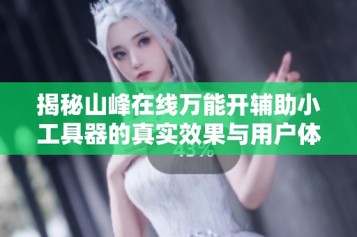 揭秘山峰在线万能开辅助小工具器的真实效果与用户体验