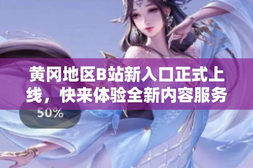 黄冈地区B站新入口正式上线，快来体验全新内容服务！