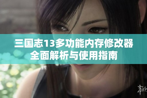 三国志13多功能内存修改器全面解析与使用指南