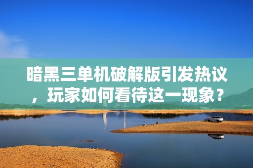 暗黑三单机破解版引发热议，玩家如何看待这一现象？