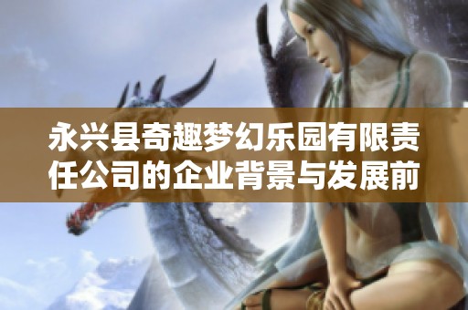 永兴县奇趣梦幻乐园有限责任公司的企业背景与发展前景分析