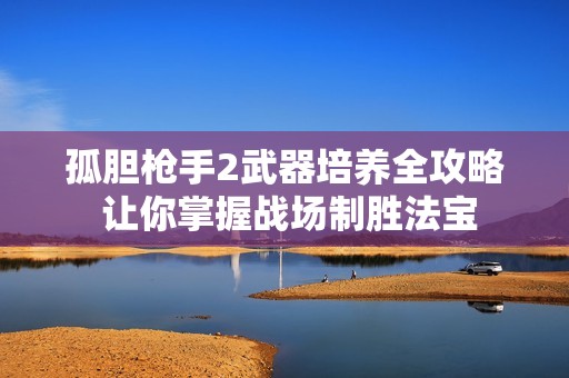孤胆枪手2武器培养全攻略 让你掌握战场制胜法宝