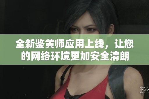 全新鉴黄师应用上线，让您的网络环境更加安全清朗