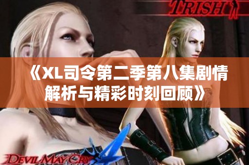 《XL司令第二季第八集剧情解析与精彩时刻回顾》