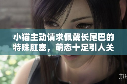 小猫主动请求佩戴长尾巴的特殊肛塞，萌态十足引人关注
