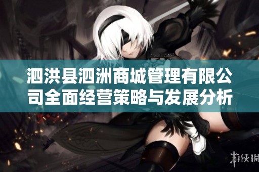 泗洪县泗洲商城管理有限公司全面经营策略与发展分析