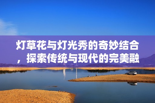 灯草花与灯光秀的奇妙结合，探索传统与现代的完美融合之美
