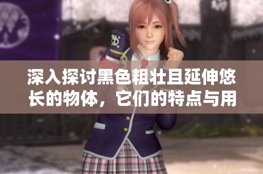 深入探讨黑色粗壮且延伸悠长的物体，它们的特点与用途是什么