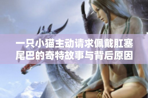 一只小猫主动请求佩戴肛塞尾巴的奇特故事与背后原因揭秘