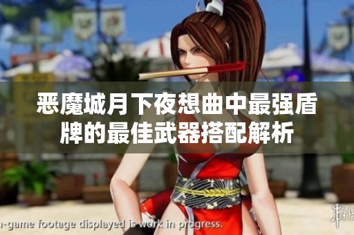 恶魔城月下夜想曲中最强盾牌的最佳武器搭配解析